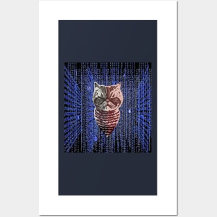 Hacker Cat Cyber Security Classic Posters and Art